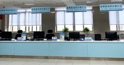全国医保提取平台医保卡三种支付方式深度解析：基金支付、个账支付与现金支付的核心区别