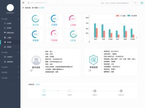 医保局监管系统界面